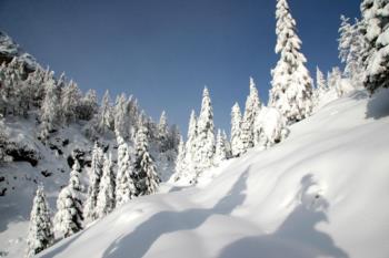 Winterlandschaft auf dem Monte Zoncolan 